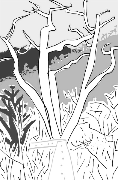 장병언, Digital Drawing, digital_work, 2026